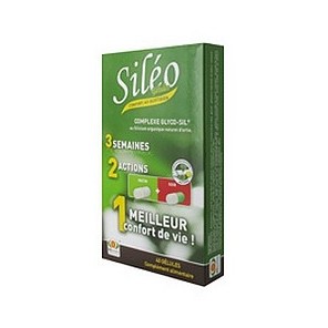 Siléo Complexe Glyco-Sil 40 Gélules