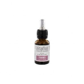 Vitaflor Extrait de Bourgeons Bio Figuier 15ml