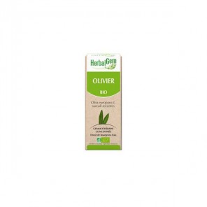 Herbalgem olivier bio 30ml