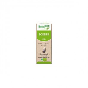 Herbalgem sorbier bio 30ml