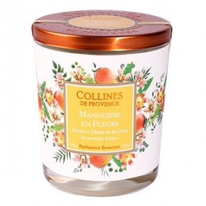 Collines de provence bougie parfumée manguiers en fleurs 180g