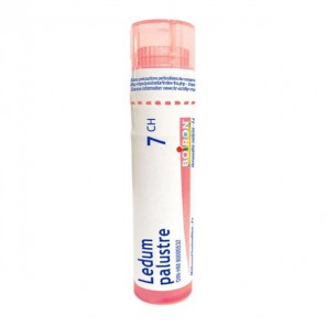 Boiron ledum palustre tube granules 7CH 4g