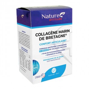 Nature Attitude Collagène Marin de Bretagne 450 g