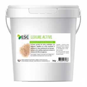 Esc laboratoire levure active flore intestinale 500g