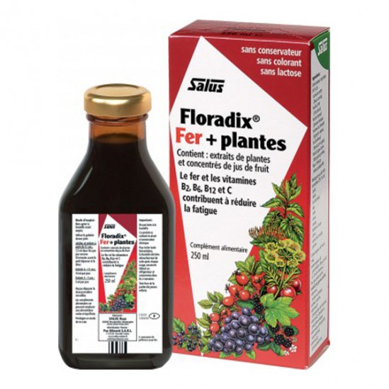 Salus Floradix boisson fer + plantes 250ml